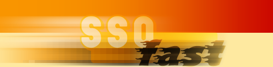skin fire logo-accueil.png